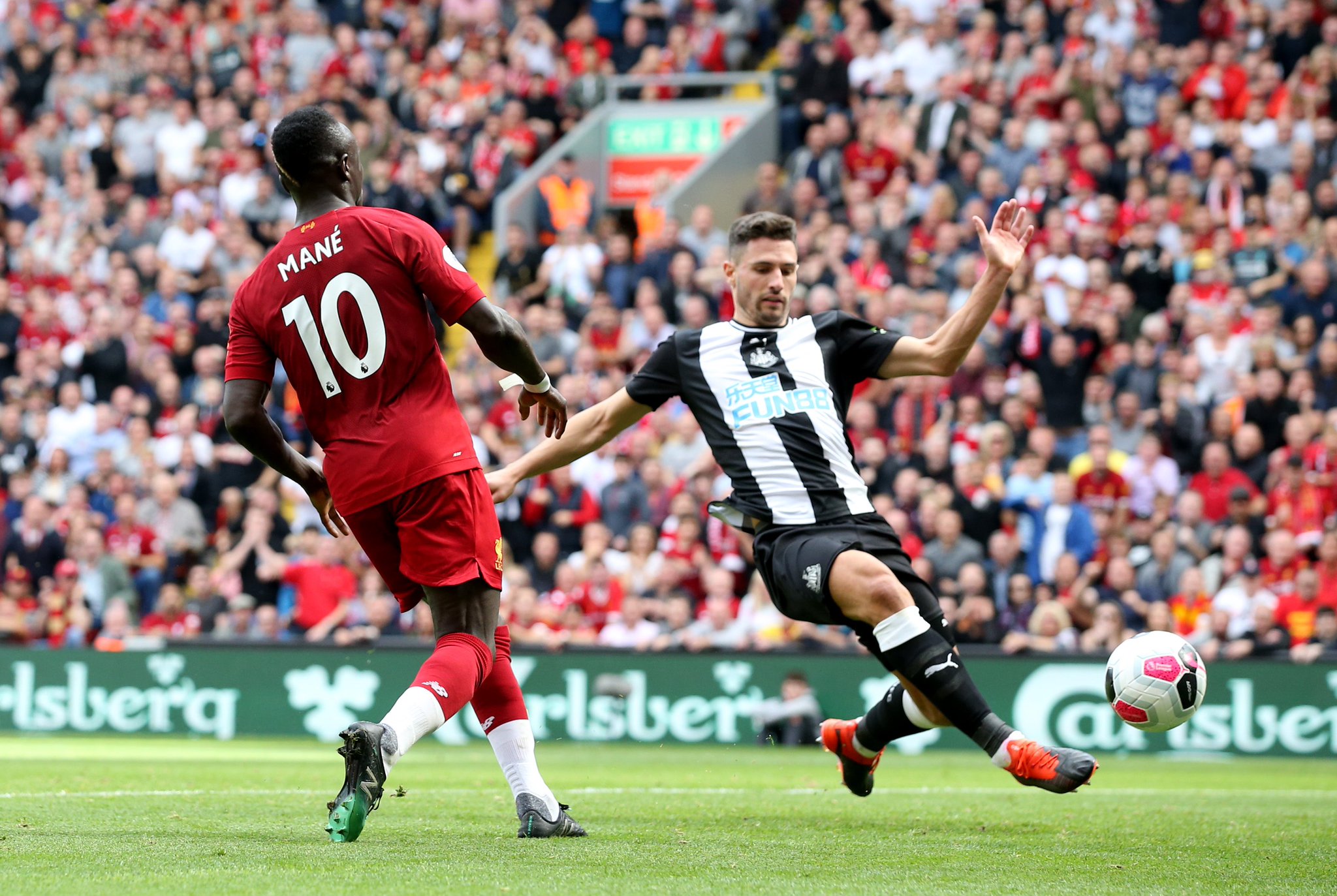 年美洲杯的 年美洲杯的