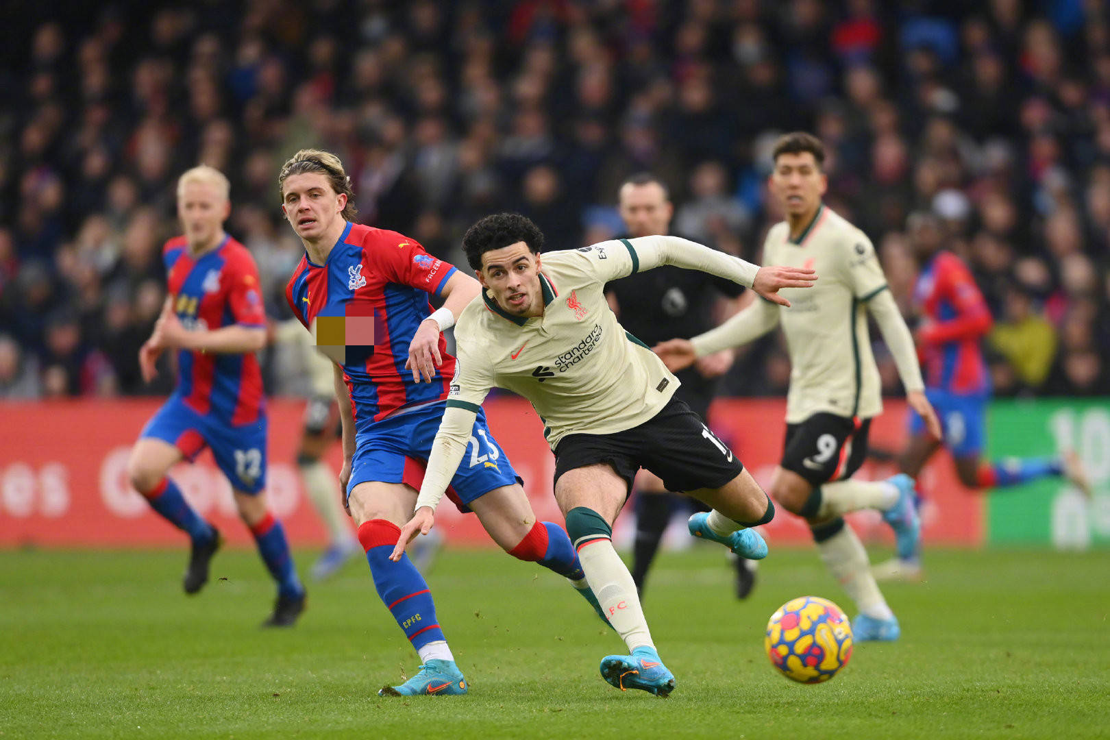 巴西天才凭 巴西天才凭