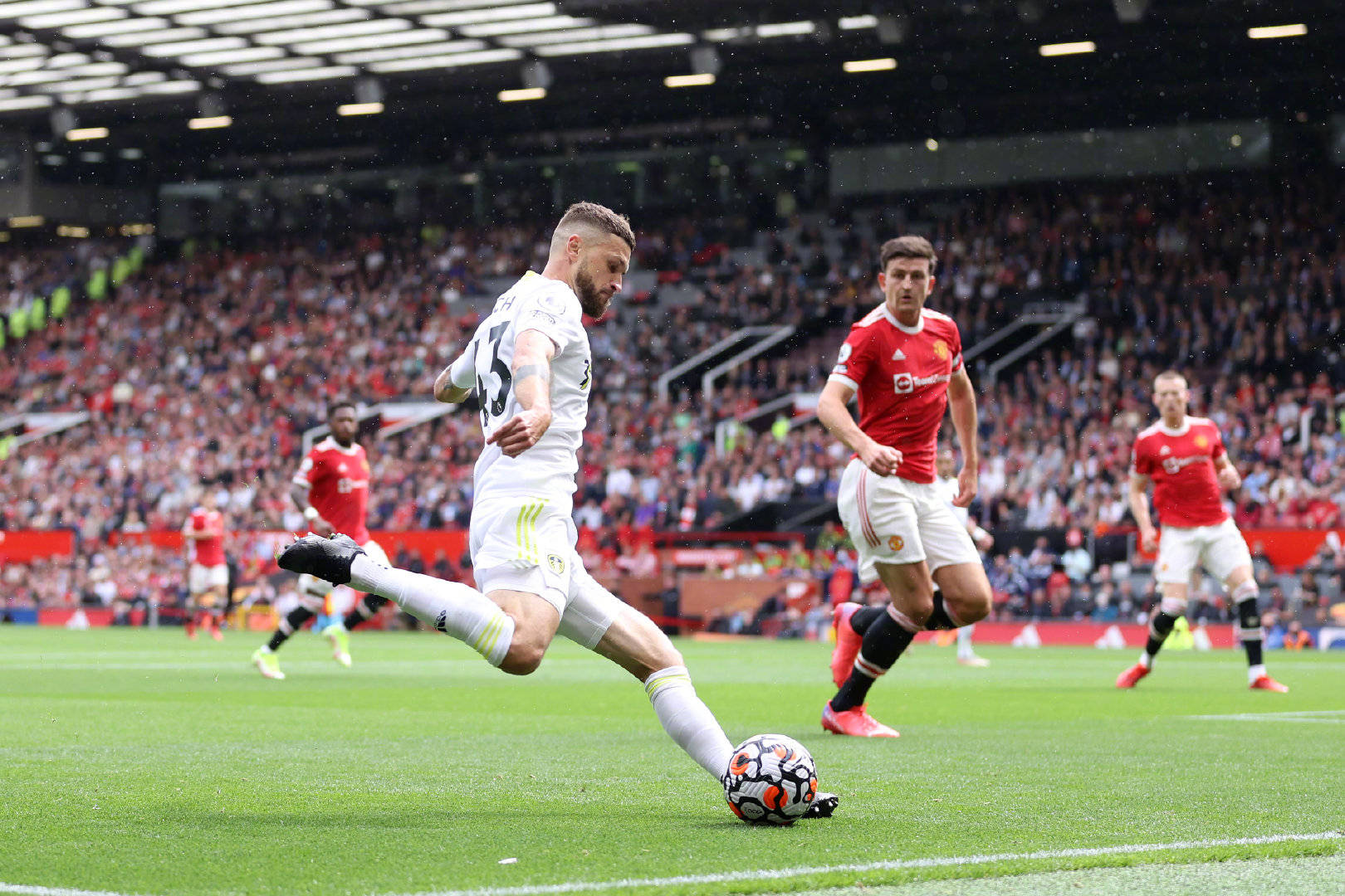 的完美写照 的完美写照